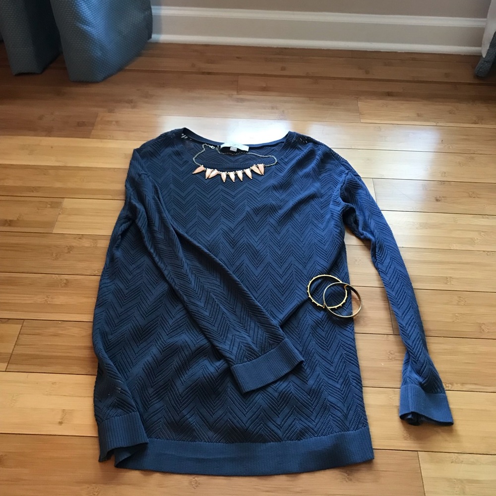Ann Taylor Loft sweater